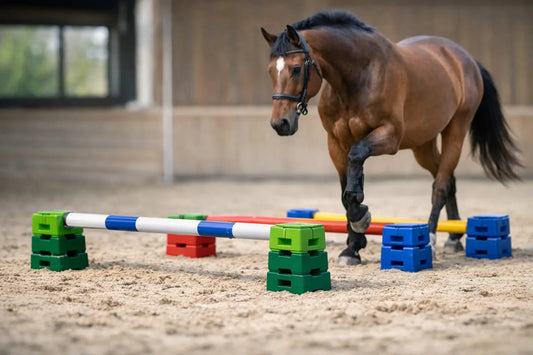How High Should Cavaletti Be for Safe Progression?