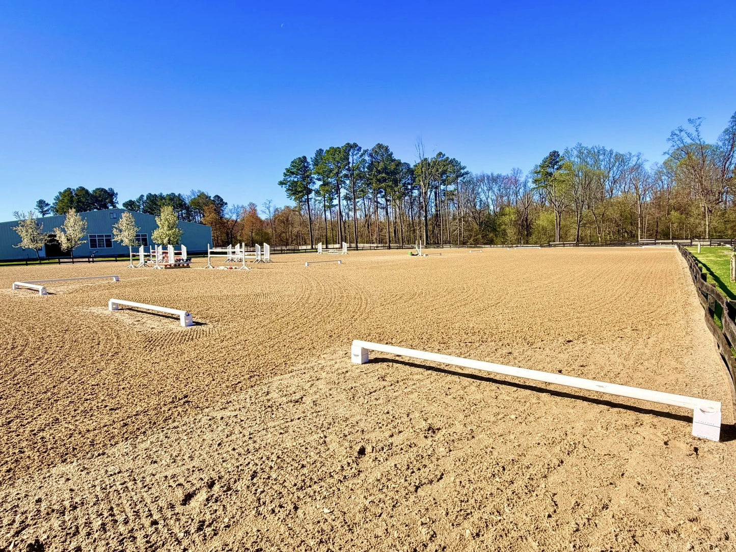 Low-Profile Dressage Arena Boundary Kit - PoleRise